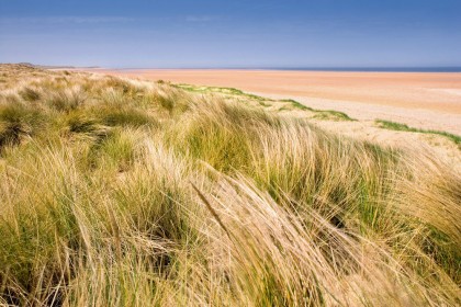 Beach dunes and marram grass at Holkham in Norfolk