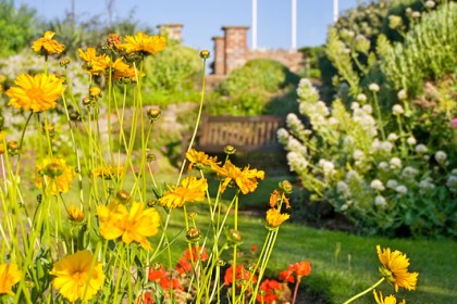 cromer-gardens