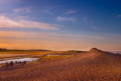 salthouse-birdwatching