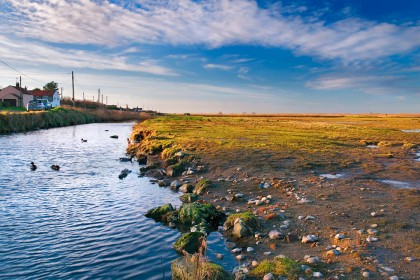 salthouse-duckpond