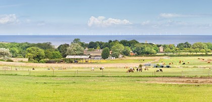 Horses at Calves Lane West Runton