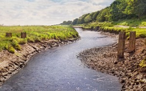 salt-marshes-at-stiffkey