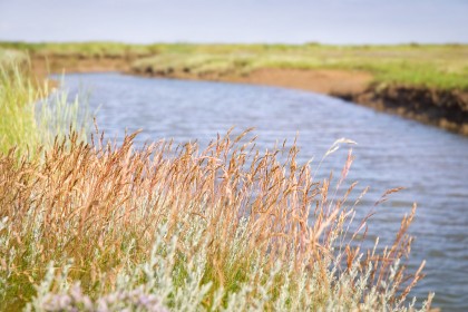 stiffkey-salt-marshes