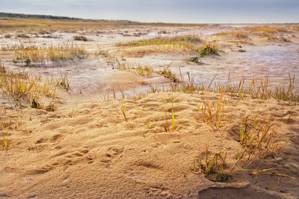 holme-beach