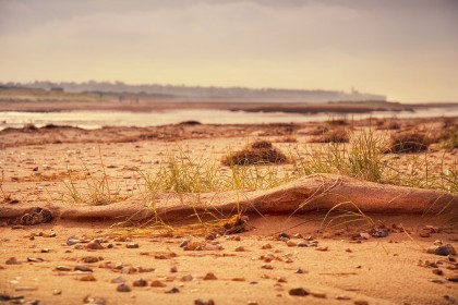 Get down low for creative photography