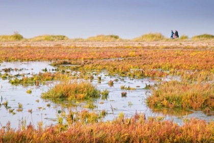 walking-at-holme-next-the-sea