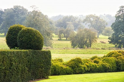 little-walsingham-countryside