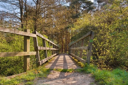 knettishall-heath-little-ouse-river