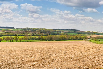 peddars-way-fields