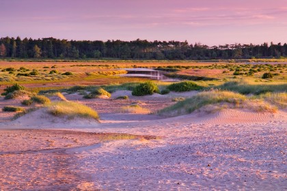 Sunset on holkham beach